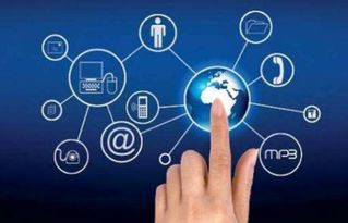 华登区块狗溜狗软件系统开发与网络技术创新