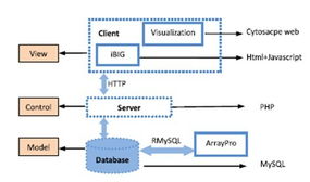 基因组所成功开发整合网络工具iBig，开启生物信息网络分析新纪元